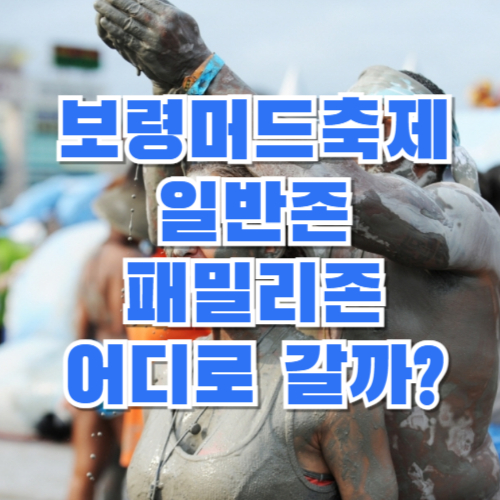 2024년-보령머드축제