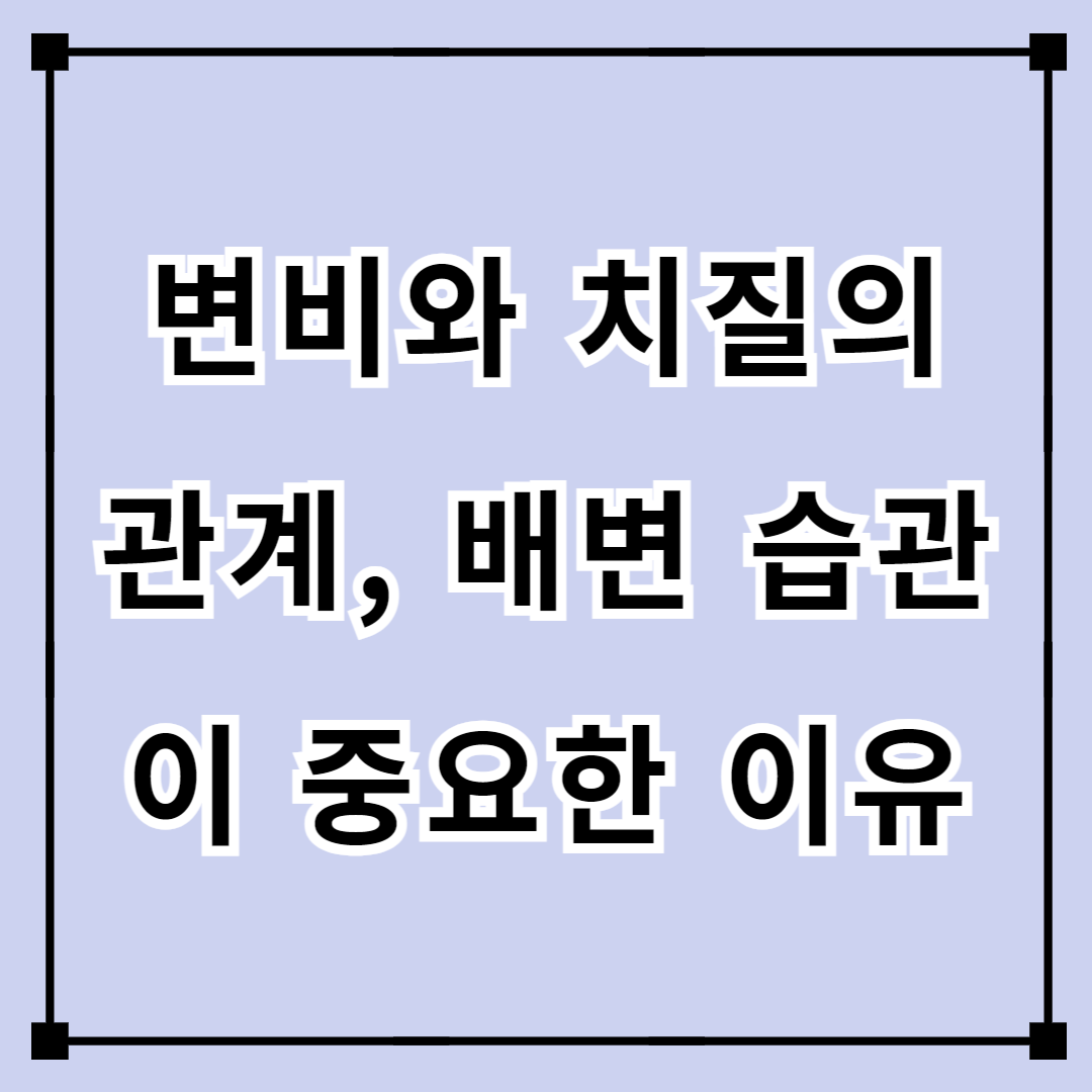 변비와 치질의 관계, 배변 습관이 중요한 이유