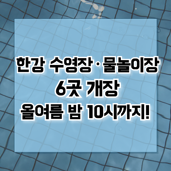 2025 한강 수영장