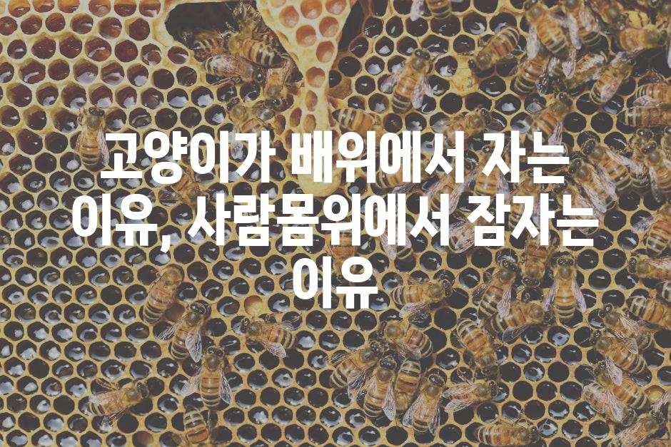 API 할당량 초과 오류 6