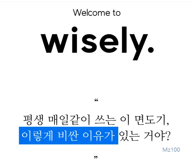 와이즐리 살펴보기 2