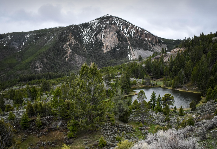 엘로스톤의 모습