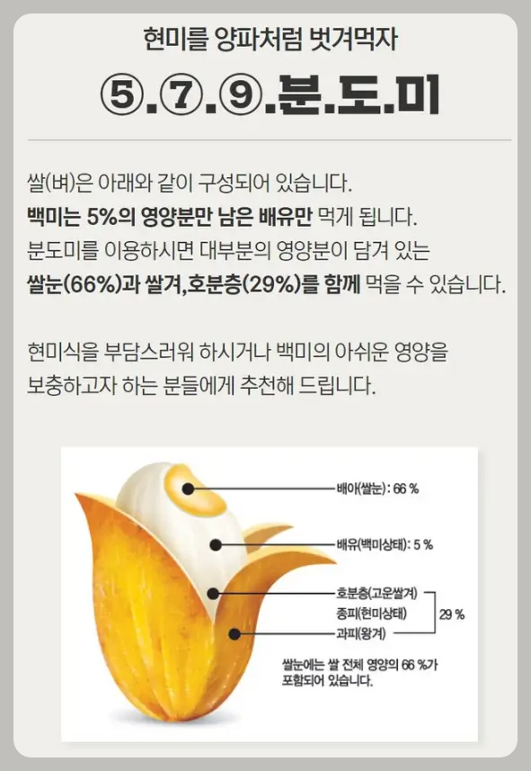 오분도미