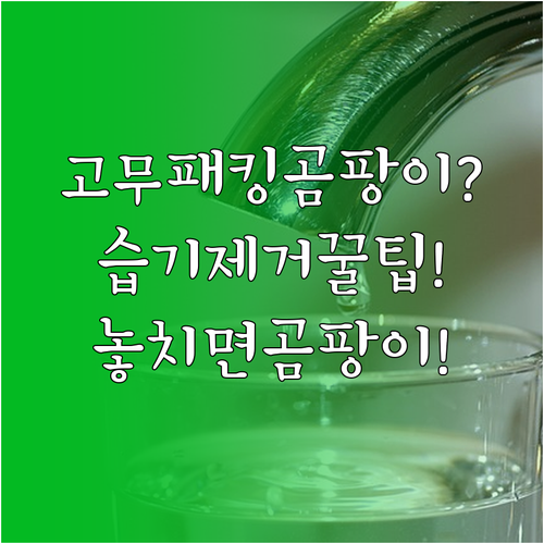 냉장고 문 고무패킹 습기 제거부터 건..