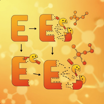 고지혈증 약 종류와 효과12