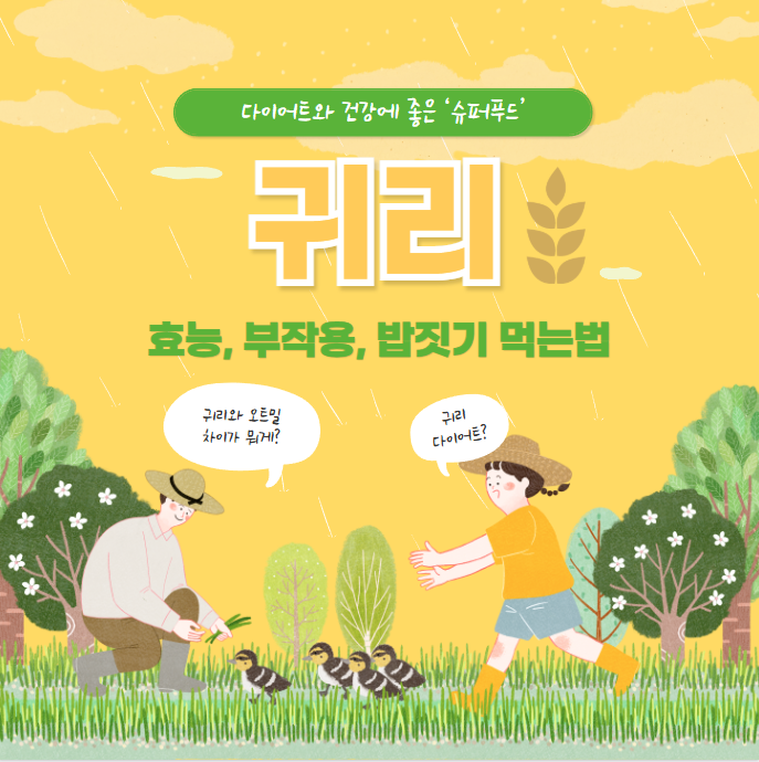 귀리 효능과 부작용 밥짓기 먹는법 완벽정리(+귀리 오트밀 차이 다이어트)