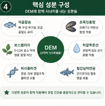 dem관절영양제-추천-효능-성분-효과-비교-가격