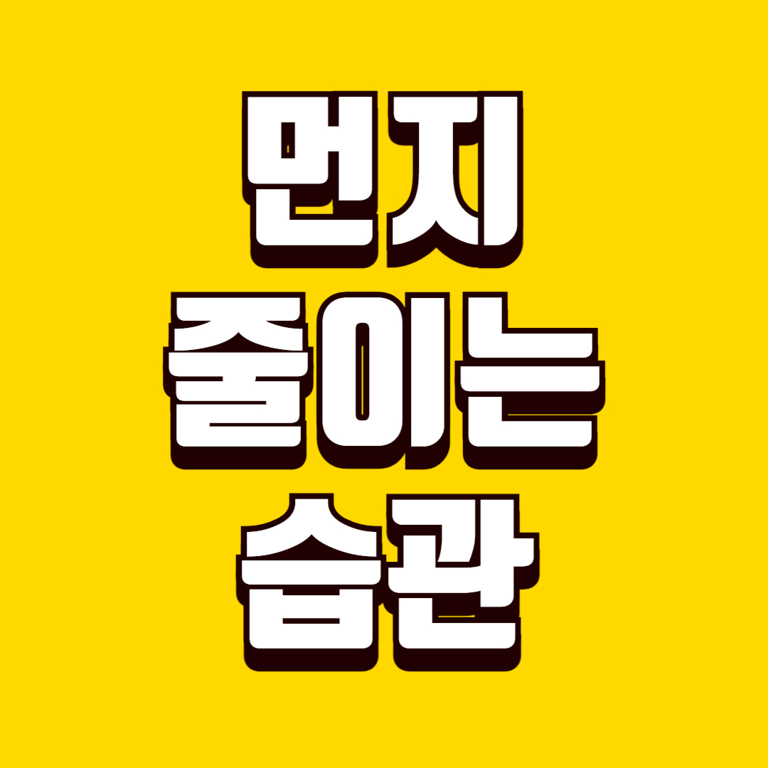 집안 먼지 줄이는 습관, 청소 효과 높이는 꿀팁