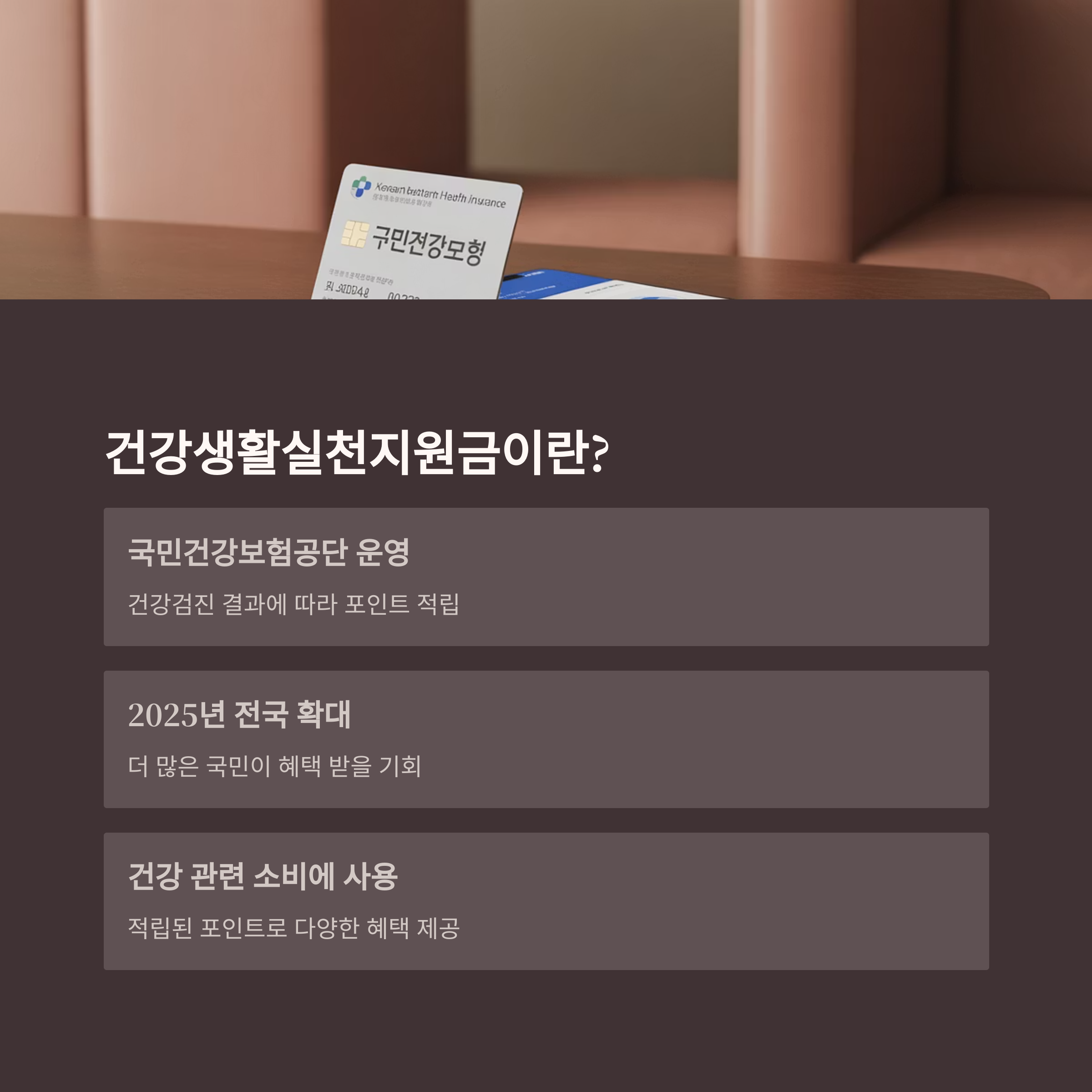 건강지원금