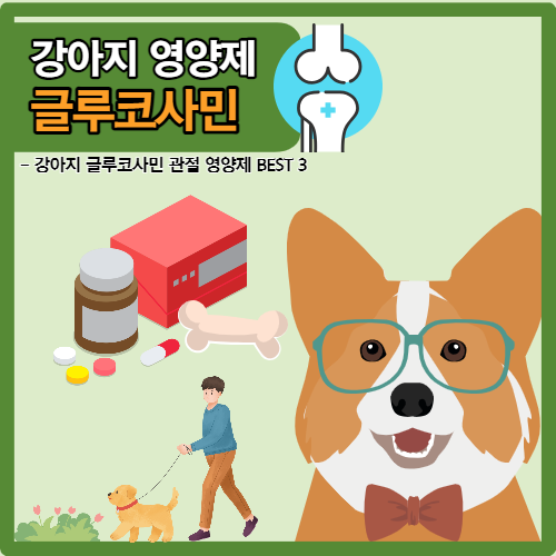 강아지 글루코사민 영양제 추천