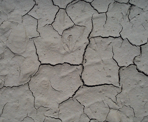 서울시 강남구&amp;#44; 송파구&amp;#44; 강동구&amp;#44; 관악구&amp;#44; 성동구 무더위 쉼터