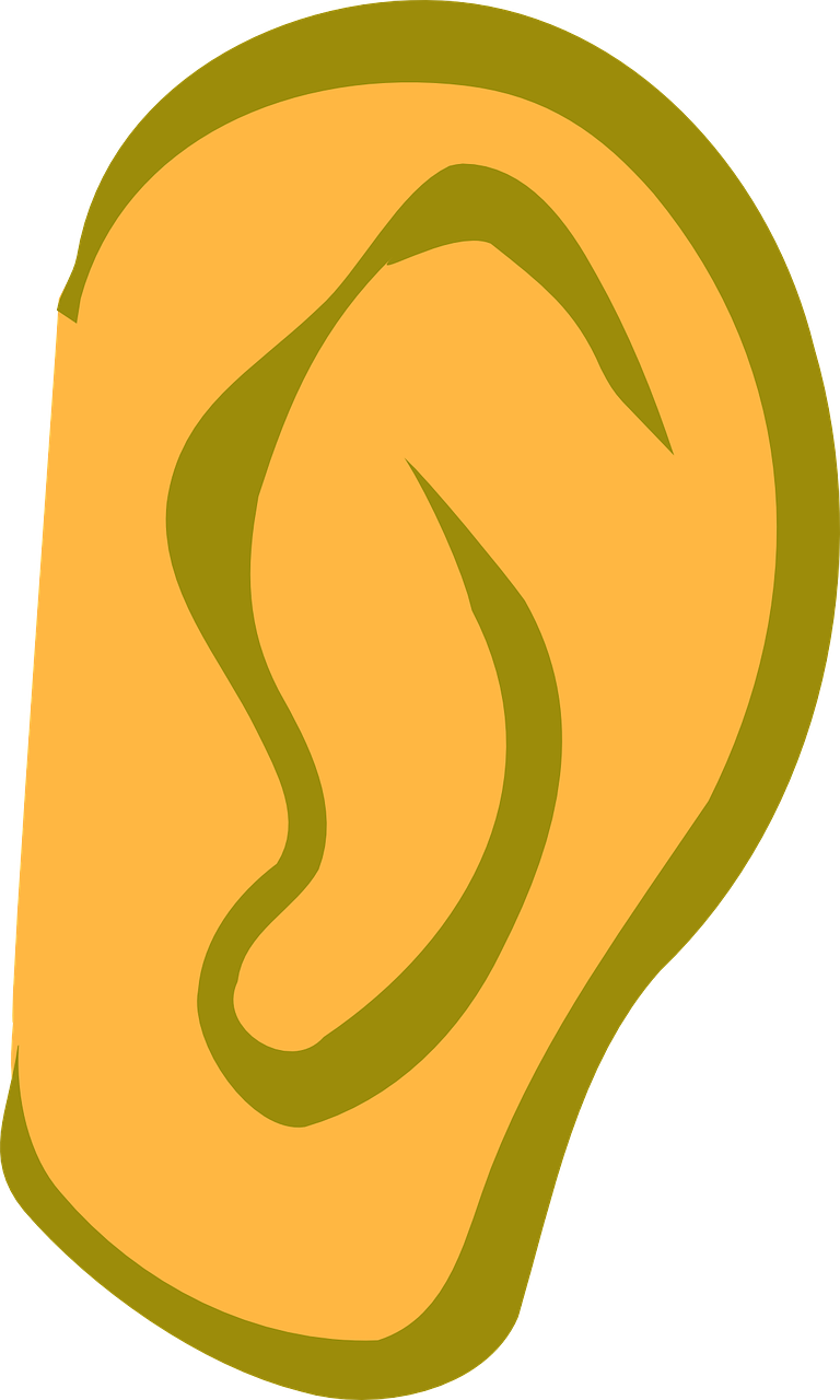 이명 치료 방법 