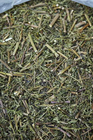 인진쑥 효능, 부작용 등 알아보기