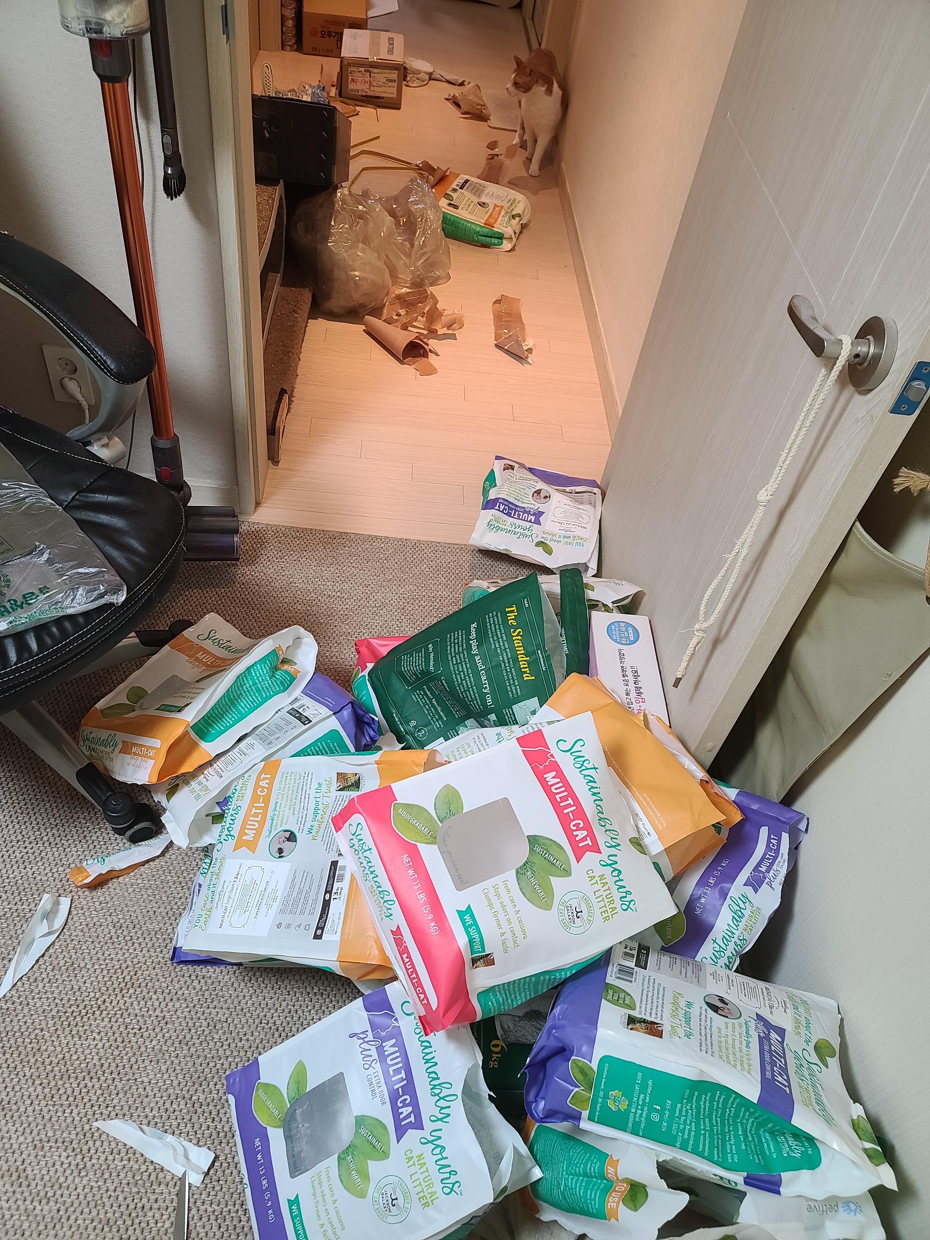 또다시 돌아온 고양이들 화장실모래전체갈이!(feat.미우타임즈와 써유)