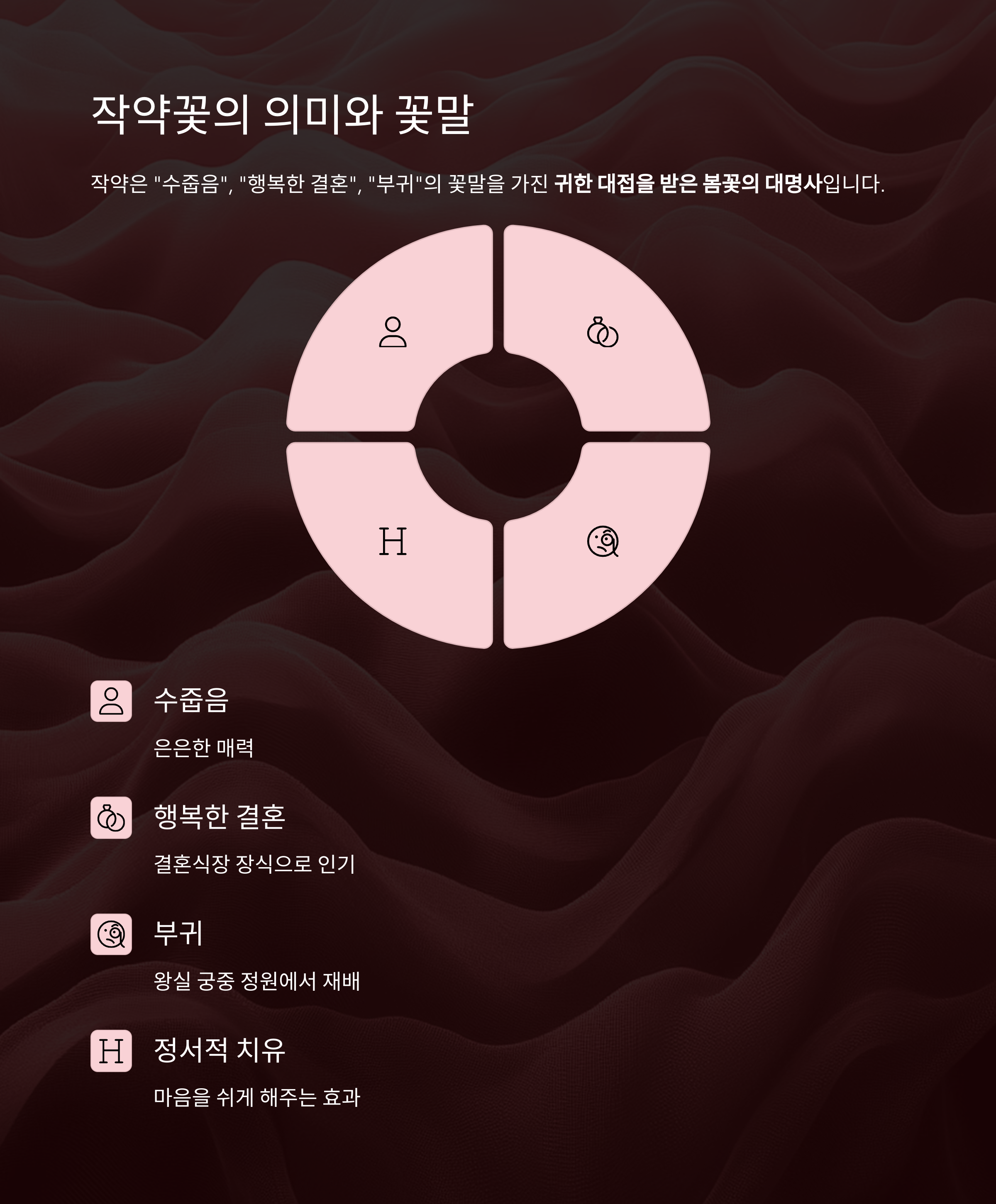 고흥 작약꽃밭, 남도 끝자락에서 피어난 봄의 절정