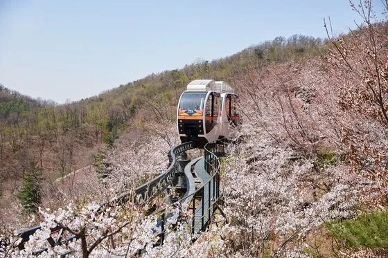 화담숲; 예매방법&amp;#44; 즐기는 방법&amp;#44; 방문후기 총정리