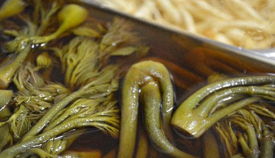 두릅장아찌 보관방법