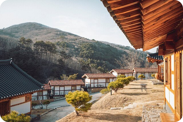 청와대 관람신청 예약