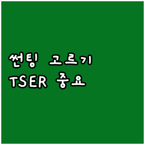 자동차 썬팅, 꼼꼼하게 알고 고르자:..