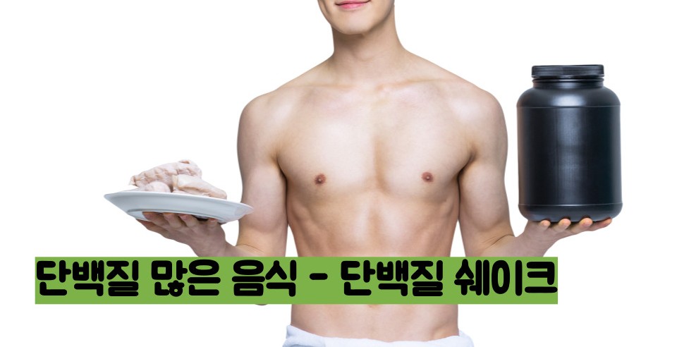 단백질 많은 음식