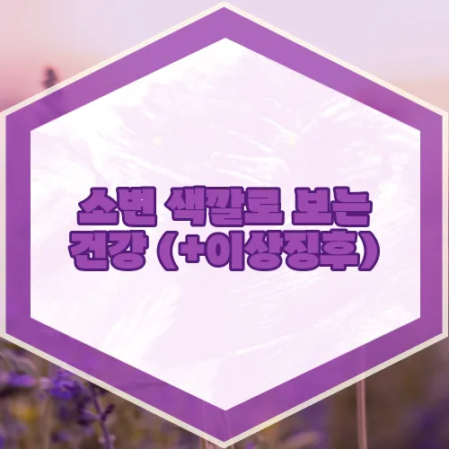 소변 색깔로 보는 건강 (+이상징후)