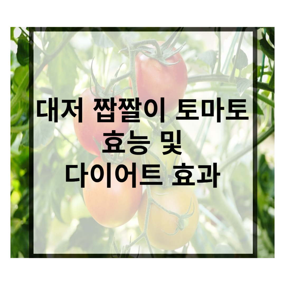 대저 짭짤이 토마토