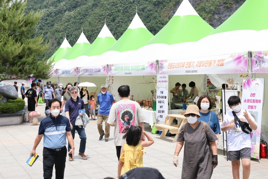 제 40회 단양 소백산 철쭉제 기본정보와 프로그램 정리 정수라 임창근 김완선 출연
