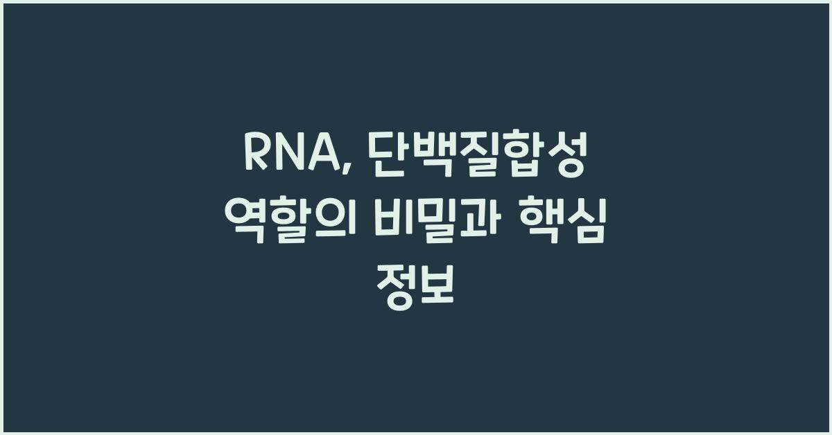 RNA, 단백질합성 역할