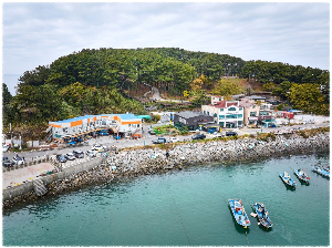 죽도
