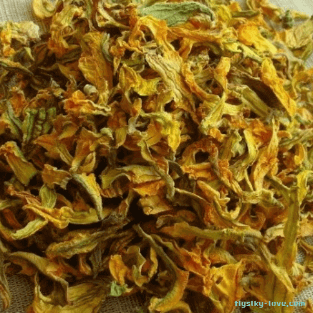 혈관건강에 좋은 호박꽃