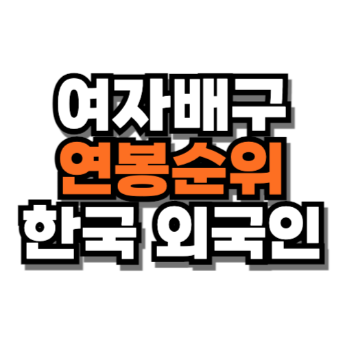 여자배구 연봉순위 한국 외국인