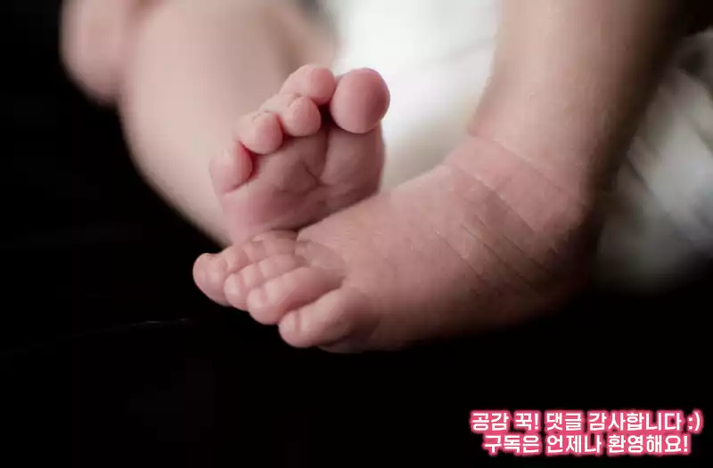 아기 유모차 고를때 체크할 부분