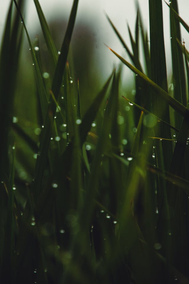 2026년 2월 26일 3월 4일 전국 날씨 예보