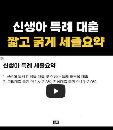 신생아 특례 대출 세줄 요약