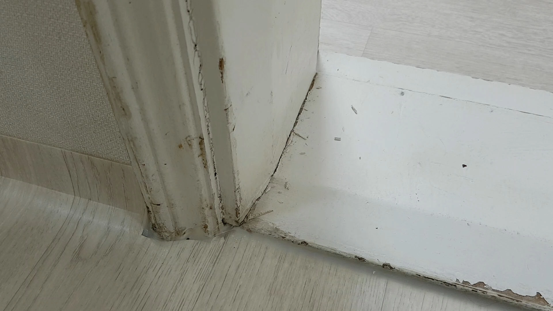 방문턱 청소 모습