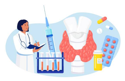 갑상선 기능 저하증 증상&amp;#44; 좋은음식&amp;#44; 수치 총정리 (2024ver)