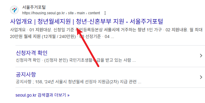 서울시 청년월세지원