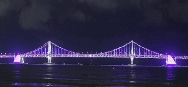 보라색으로 물든 '광안대교'