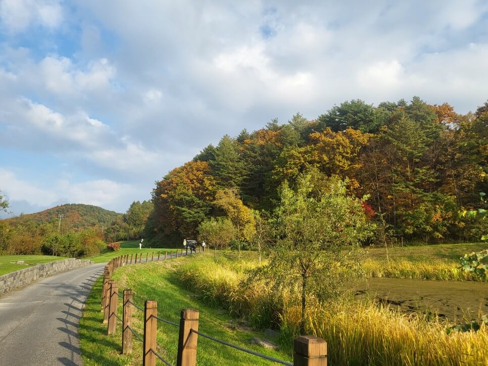 알펜시아 700 사진