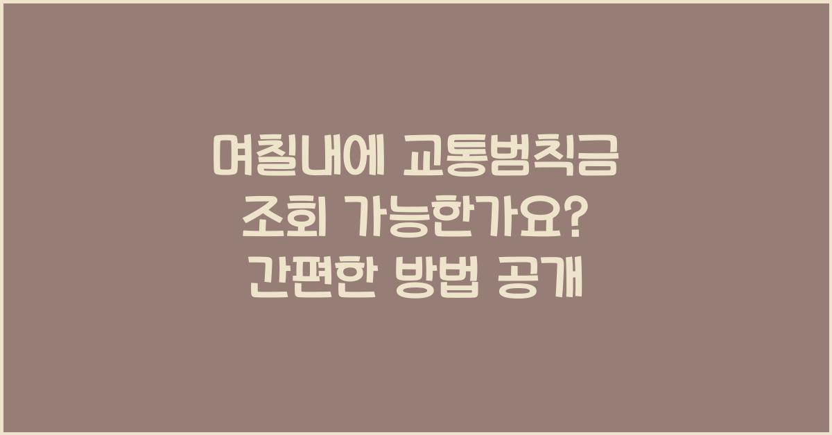 며칠내에 교통범칙금 조회 가능한가요