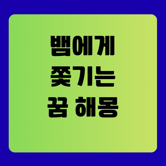 뱀에게 쫓기는 꿈 해몽 풀이