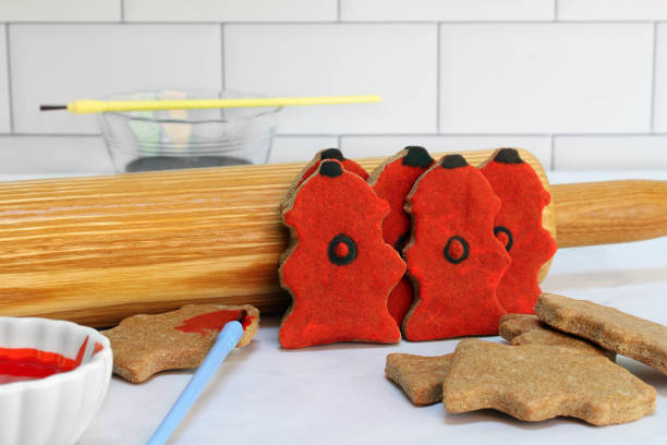 강아지 간식 보관법