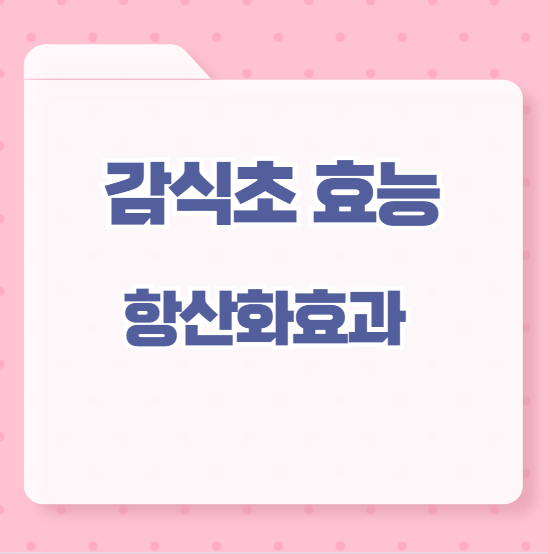 감식초효능 항산화효과