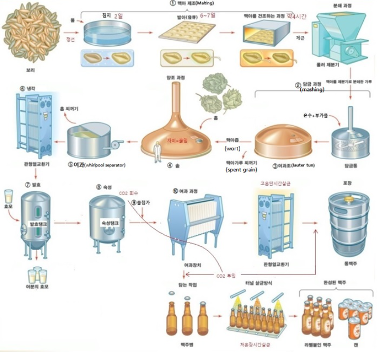 맥주 제조과정