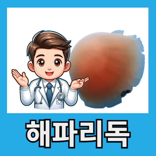 해파리독 부작용