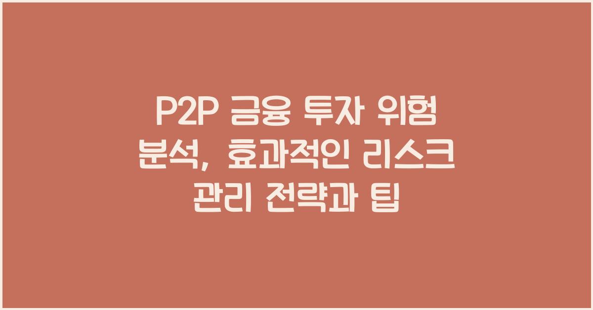 P2P 금융 투자 위험 분석