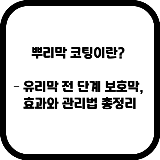 뿌리막 코팅이란? &ndash; 유리막 전 단계 보호막, 효과와 관리법 총정리