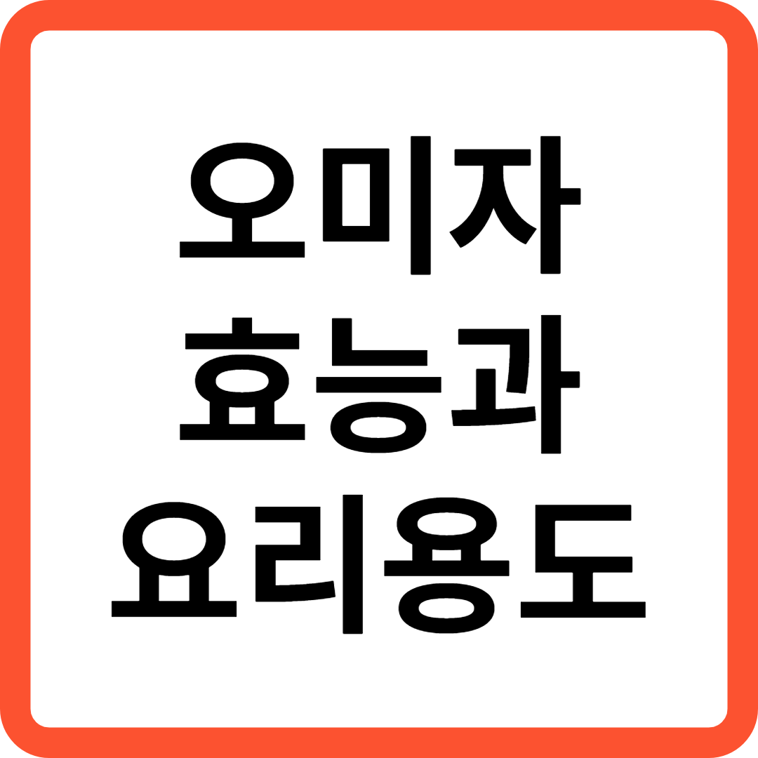 오미자 효능과 요리 용도