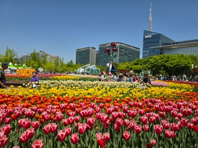 2025 고양국제꽃박람회 일정, 예매, 할인 완벽 가이드 관련 사진