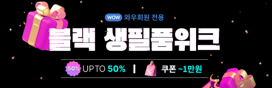 쿠팡 블랙프라이데이